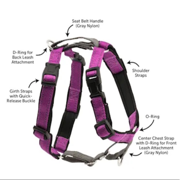 New Large 3 in 1 Purple Harness! - Picture 4 of 5